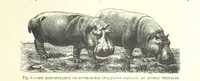 Picture 7 of 273 from Our Earth and its Story: a popular treatise on physical geography. Edited by R. Brown. With ... coloured plates and maps, etc (1899), leaf 23