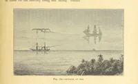Picture 227 of 273 from Our Earth and its Story: a popular treatise on physical geography. Edited by R. Brown. With ... coloured plates and maps, etc (1899), leaf 301