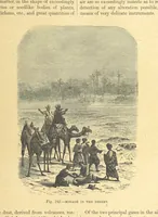 An illustration from Our Earth and its Story: a popular treatise on physical geography. Edited by R. Brown. With ... coloured plates and maps, etc (1899)