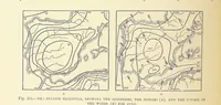 Picture 242 of 273 from Our Earth and its Story: a popular treatise on physical geography. Edited by R. Brown. With ... coloured plates and maps, etc (1899), leaf 330