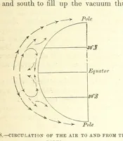 Picture 245 of 273 from Our Earth and its Story: a popular treatise on physical geography. Edited by R. Brown. With ... coloured plates and maps, etc (1899), leaf 333
