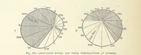 An illustration from Our Earth and its Story: a popular treatise on physical geography. Edited by R. Brown. With ... coloured plates and maps, etc (1899)