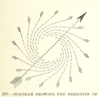 Picture 251 of 273 from Our Earth and its Story: a popular treatise on physical geography. Edited by R. Brown. With ... coloured plates and maps, etc (1899), leaf 347