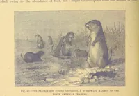 An illustration from Our Earth and its Story: a popular treatise on physical geography. Edited by R. Brown. With ... coloured plates and maps, etc (1899)
