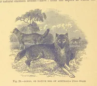 An illustration from Our Earth and its Story: a popular treatise on physical geography. Edited by R. Brown. With ... coloured plates and maps, etc (1899)