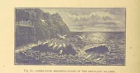 An illustration from Our Earth and its Story: a popular treatise on physical geography. Edited by R. Brown. With ... coloured plates and maps, etc (1899)