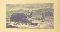 Picture 29 of 273 from Our Earth and its Story: a popular treatise on physical geography. Edited by R. Brown. With ... coloured plates and maps, etc (1899), leaf 68