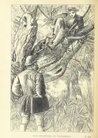 Picture 34 of 60 from Tom Brown's School Days. By an Old Boy [i.e. Thomas Hughes]. Third edition (1869), leaf 250