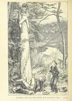 Picture 43 of 60 from Tom Brown's School Days. By an Old Boy [i.e. Thomas Hughes]. Third edition (1869), leaf 322