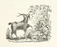 An illustration from Select Views of the Royal Palaces of Scotland ... With illustrative descriptions ... by the late Rev. John Jamieson ... Second edition (1840)