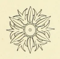 An illustration from Songs of Many Seasons ... Illustrated by G. Du Maurier, Walter Crane, etc (1876)
