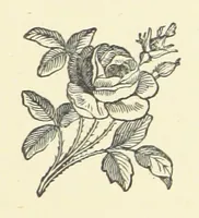 An illustration from Songs of Many Seasons ... Illustrated by G. Du Maurier, Walter Crane, etc (1876)