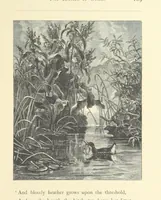 An illustration from North Coast and other poems ... With illustrations by J. Wolf, T. Dalziel [and others] ... Engraved by the Brothers Dalziel (1868)