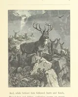 An illustration from North Coast and other poems ... With illustrations by J. Wolf, T. Dalziel [and others] ... Engraved by the Brothers Dalziel (1868)