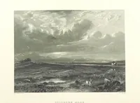Picture 17 of 45 from The Works of Robert Burns; with a complete life of the poet [by James Currie], and an essay on his genius and character, by Professor Wilson, etc. [With plates, including portraits (1855), leaf 110