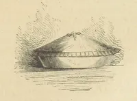 Picture 33 of 61 from Gerard Mastyn, the son of a genius, etc (1877), leaf 145