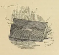 An illustration from Gerard Mastyn, the son of a genius, etc (1877)