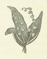 An illustration from Historical Notices of Chelsea, Kensington, Fulham, and Hammersmith. With some particulars of old families, etc (1871)