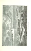 An illustration from Voyage aux grands lacs de l'Afrique Orientale ... Ouvrage traduit ... par Mme H. Loreau, et illustré de 37 vignettes (1862)