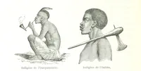 Picture 30 of 38 from Voyage aux grands lacs de l'Afrique Orientale ... Ouvrage traduit ... par Mme H. Loreau, et illustré de 37 vignettes (1862), leaf 486