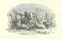 An illustration from The Pictorial History of France and of the French People ... Enriched with ... designs by Jules David (1843)