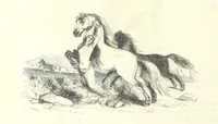 An illustration from The Pictorial History of France and of the French People ... Enriched with ... designs by Jules David (1843)