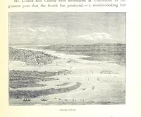 An illustration from A Zigzag Journey in the Sunny South; or, Wonder tales of early American history ... Fully illustrated (1887)