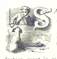 An illustration from A Zigzag Journey in the Sunny South; or, Wonder tales of early American history ... Fully illustrated (1887)