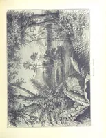 An illustration from A Zigzag Journey in the Sunny South; or, Wonder tales of early American history ... Fully illustrated (1887)