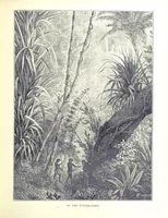 An illustration from A Zigzag Journey in the Sunny South; or, Wonder tales of early American history ... Fully illustrated (1887)