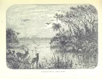 An illustration from A Zigzag Journey in the Sunny South; or, Wonder tales of early American history ... Fully illustrated (1887)