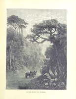 An illustration from A Zigzag Journey in the Sunny South; or, Wonder tales of early American history ... Fully illustrated (1887)