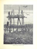 Picture 61 of 88 from A Zigzag Journey in the Sunny South; or, Wonder tales of early American history ... Fully illustrated (1887), leaf 235