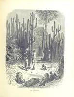 An illustration from A Zigzag Journey in the Sunny South; or, Wonder tales of early American history ... Fully illustrated (1887)
