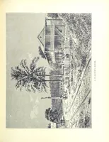 An illustration from A Zigzag Journey in the Sunny South; or, Wonder tales of early American history ... Fully illustrated (1887)