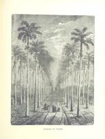 An illustration from A Zigzag Journey in the Sunny South; or, Wonder tales of early American history ... Fully illustrated (1887)
