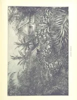 An illustration from A Zigzag Journey in the Sunny South; or, Wonder tales of early American history ... Fully illustrated (1887)