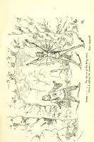 An illustration from Aladdin; or, the Wonderful scamp! An original burlesque extravaganza, in one act. [In verse (1882)