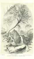 An illustration from California illustrated: including a description of the Panama and Nicaragua routes. By a returned Californian. [With plates (1852)