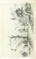 An illustration from California illustrated: including a description of the Panama and Nicaragua routes. By a returned Californian. [With plates (1852)