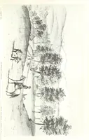 An illustration from California illustrated: including a description of the Panama and Nicaragua routes. By a returned Californian. [With plates (1852)