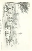 An illustration from California illustrated: including a description of the Panama and Nicaragua routes. By a returned Californian. [With plates (1852)