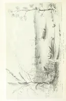 An illustration from California illustrated: including a description of the Panama and Nicaragua routes. By a returned Californian. [With plates (1852)