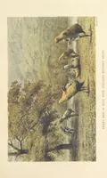 An illustration from Kulu: its beauties, antiquities and silver mines, including a trip over the Snowy Range and glaciers. By the author of “Notes on the Mineral Wealth of India” [i.e. J. Calvert] (1873)