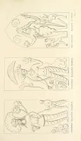 An illustration from Kulu: its beauties, antiquities and silver mines, including a trip over the Snowy Range and glaciers. By the author of “Notes on the Mineral Wealth of India” [i.e. J. Calvert] (1873)