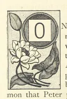 An illustration from Rambles in South Africa, etc (1891)
