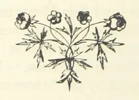 An illustration from Rambles in South Africa, etc (1891)