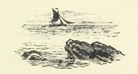 An illustration from Rambles in South Africa, etc (1891)