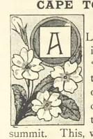 Picture 7 of 26 from Rambles in South Africa, etc (1891), leaf 80