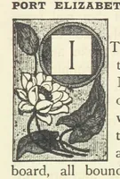 An illustration from Rambles in South Africa, etc (1891)